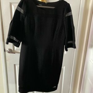 Final day- Talbots Bell Sleeve Dress